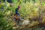 husqvarna-forstfreischneider-545fx-966015601-1